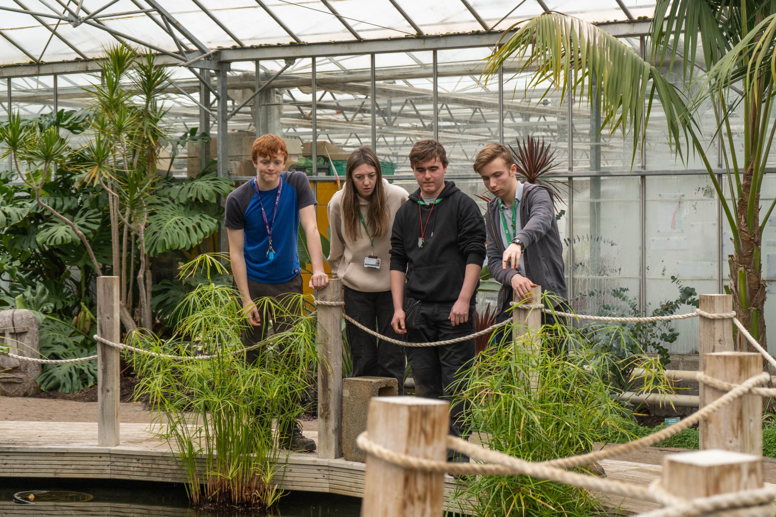 Four students looking into a pond