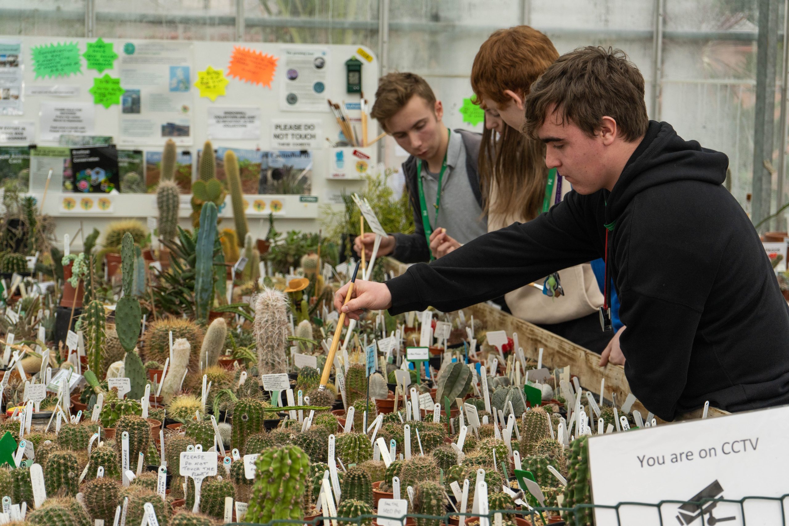 Three students looking at Cactus samples