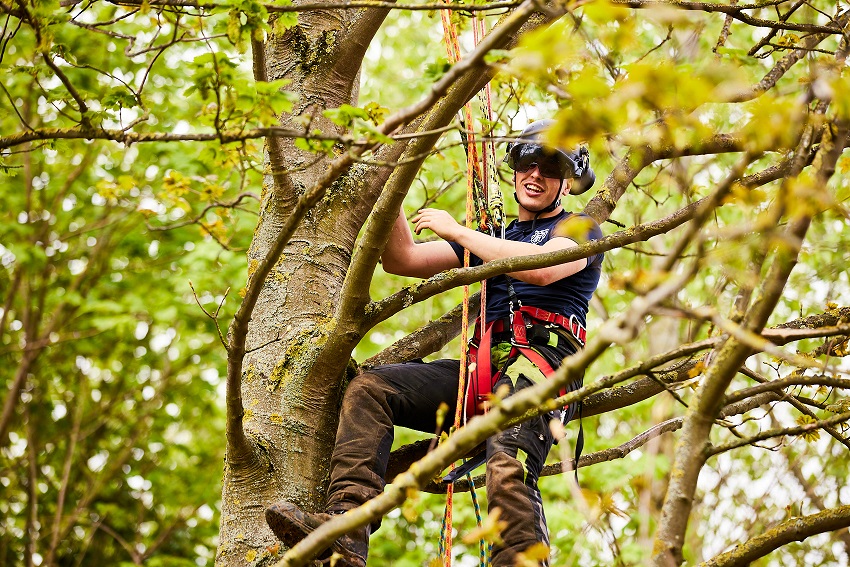 Student up a tree on a rope