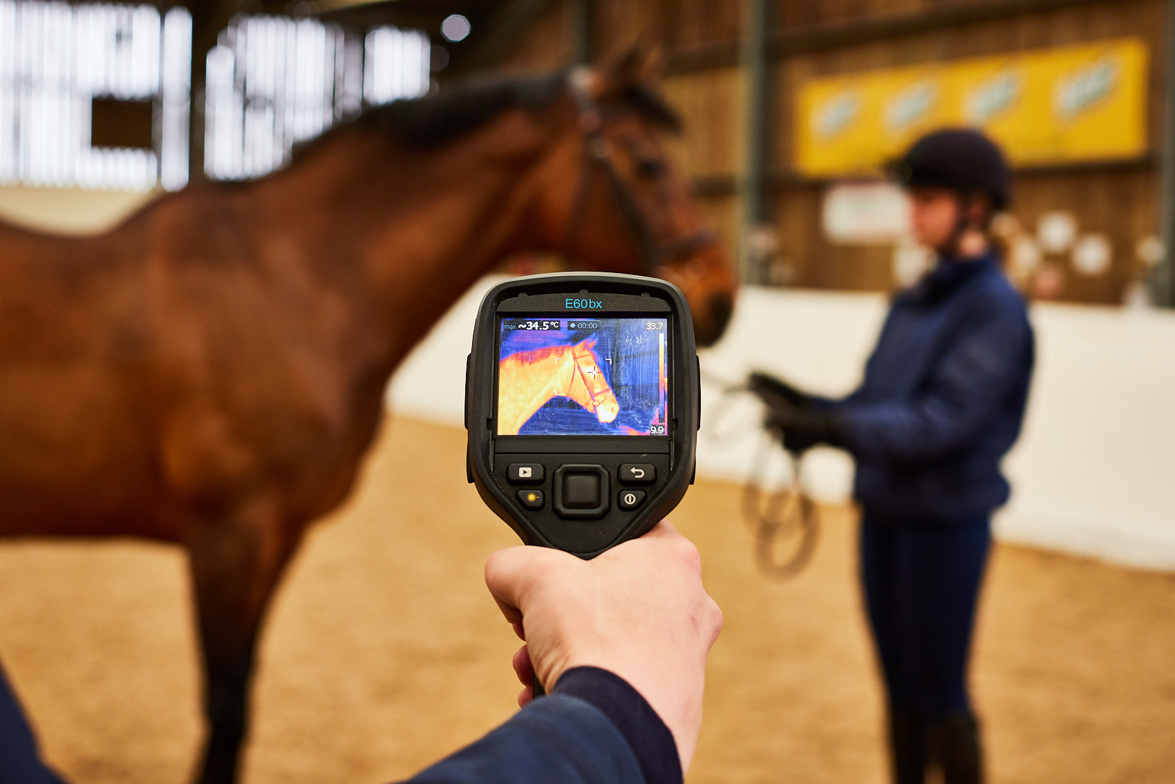 Bsc (Hons) Equine Science with Management Course