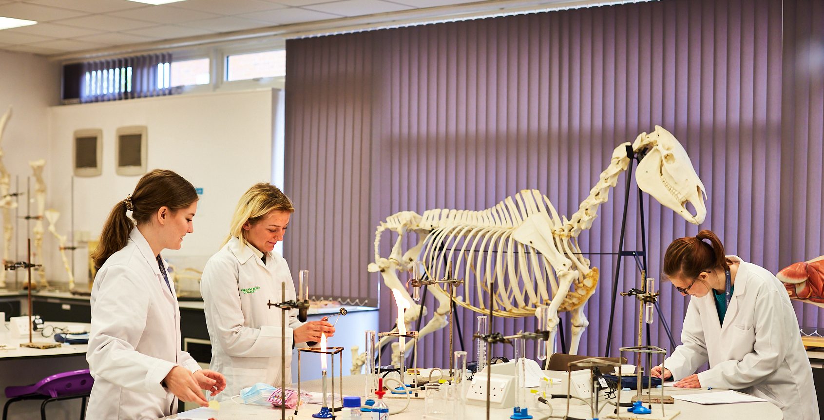 Students studying a horse skeleton