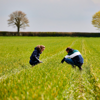 UCAB students in a field