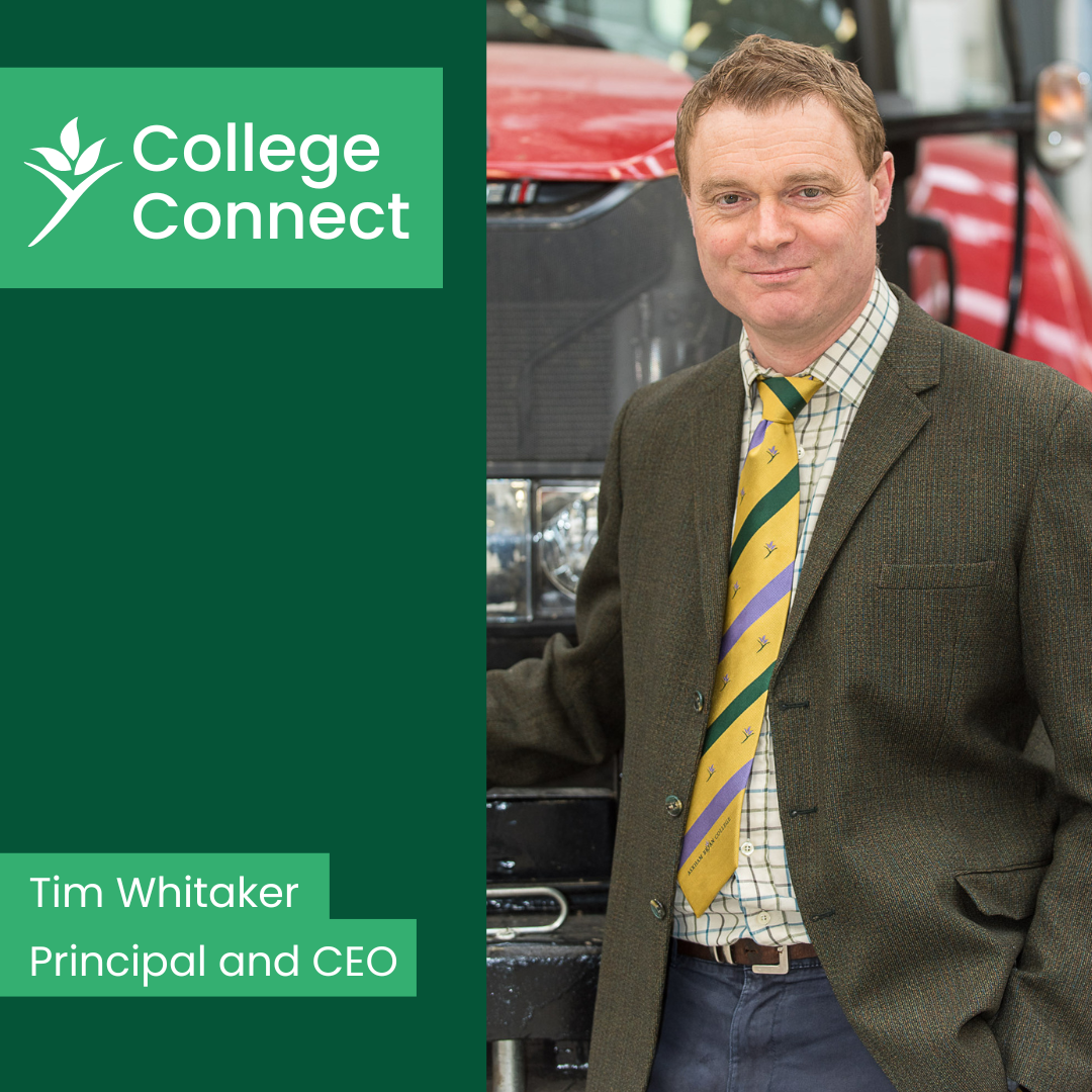 College Connect Blog-November 2022-Tim Whitaker