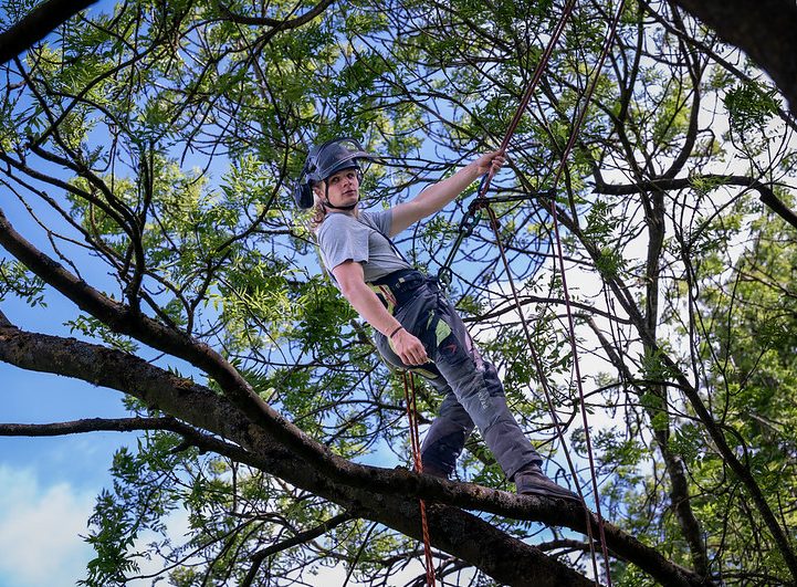 student climbing a tree