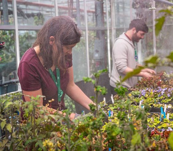 Two students inspecting plants