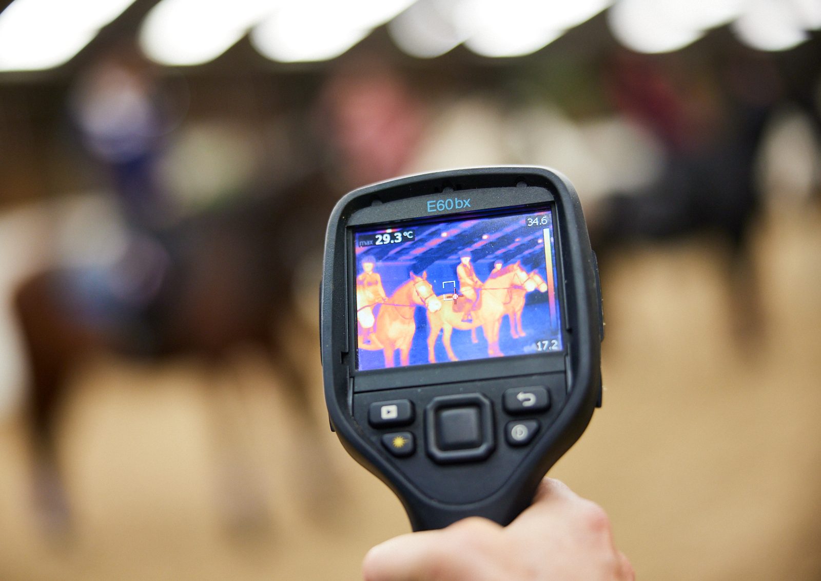 Thermal imaging camera showing a horse