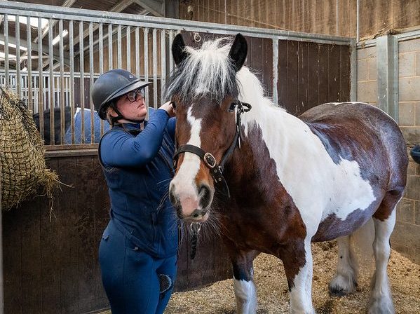 student brushing a horse