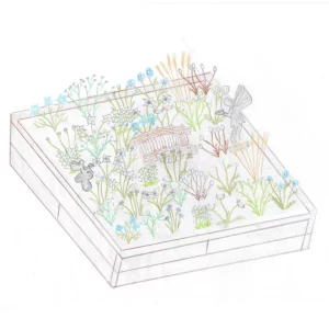 BBG Gardeners World Live design