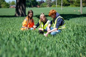 Crop monitoring in a agriculture field