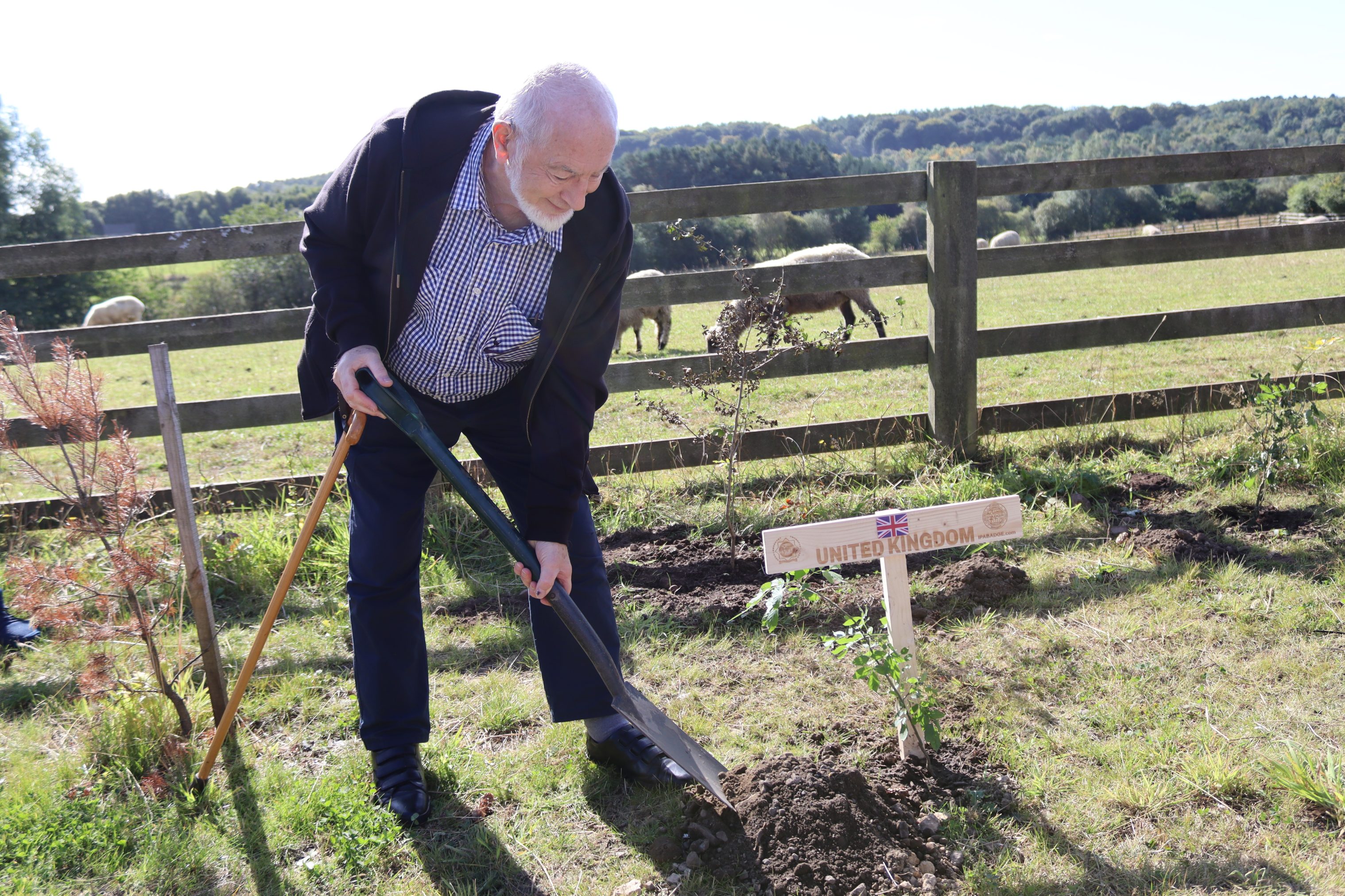 Figure planting tree.