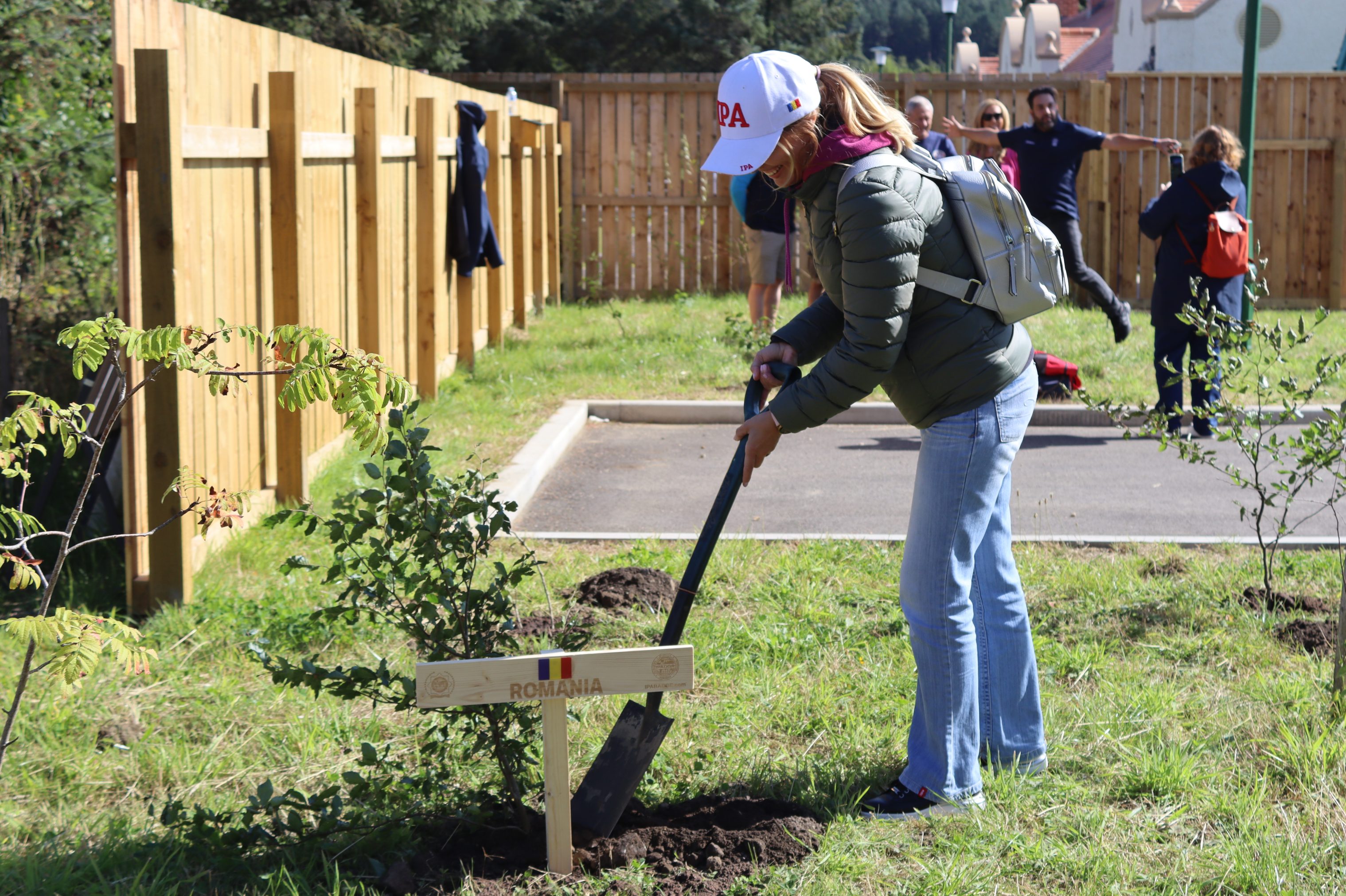 Figure planting Tree
