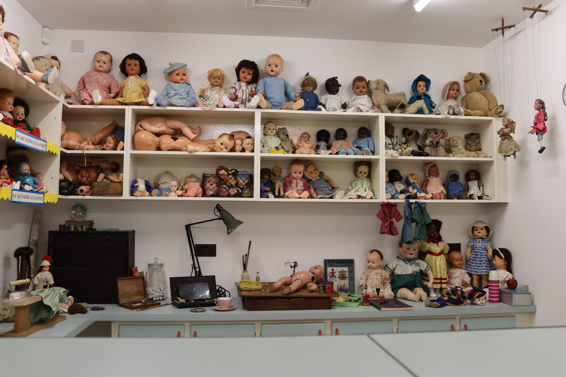 Shelves of dolls, teddy's and toy body parts.