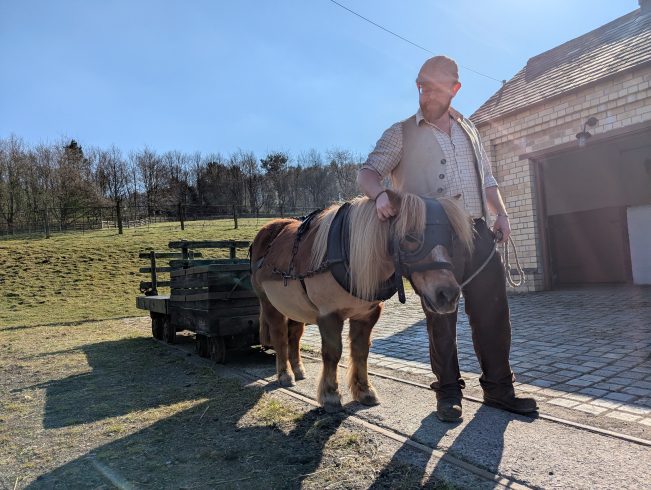 Staff member with pit pony.