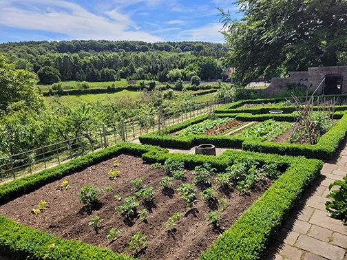 Kitchen Garden with landscape in the background.