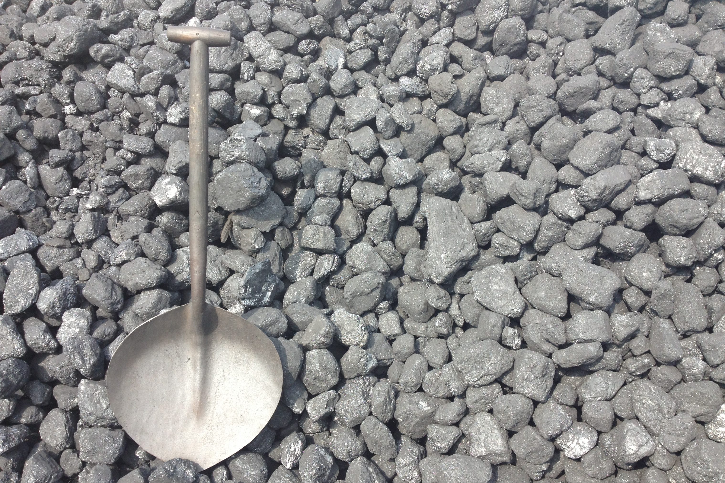 Coal and a coal shovel