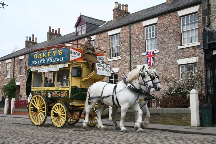 Horse and horsedrawn bus