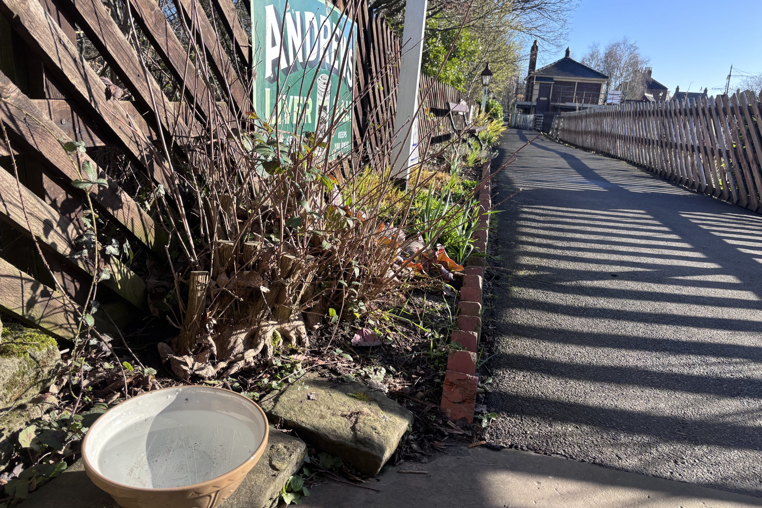 Water bowl at Rowley Station