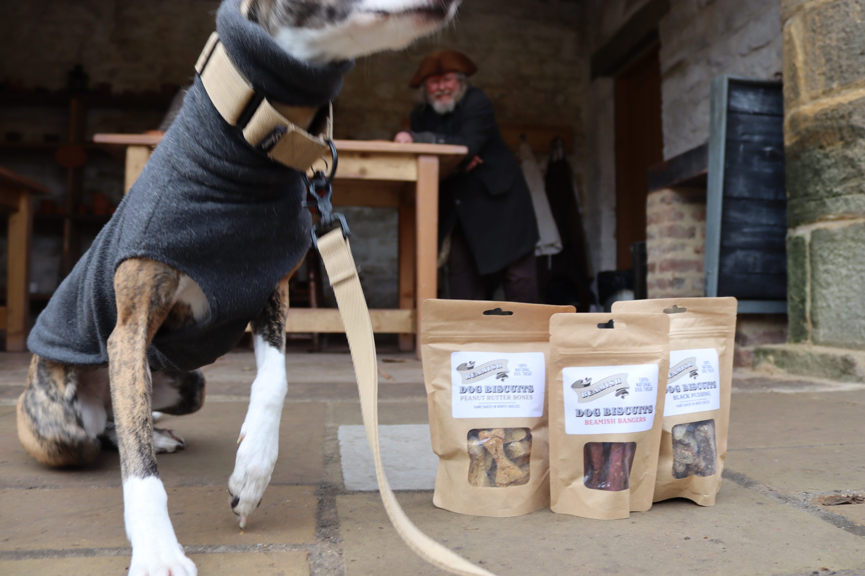 Packets of dog biscuits with dog moving out of shot