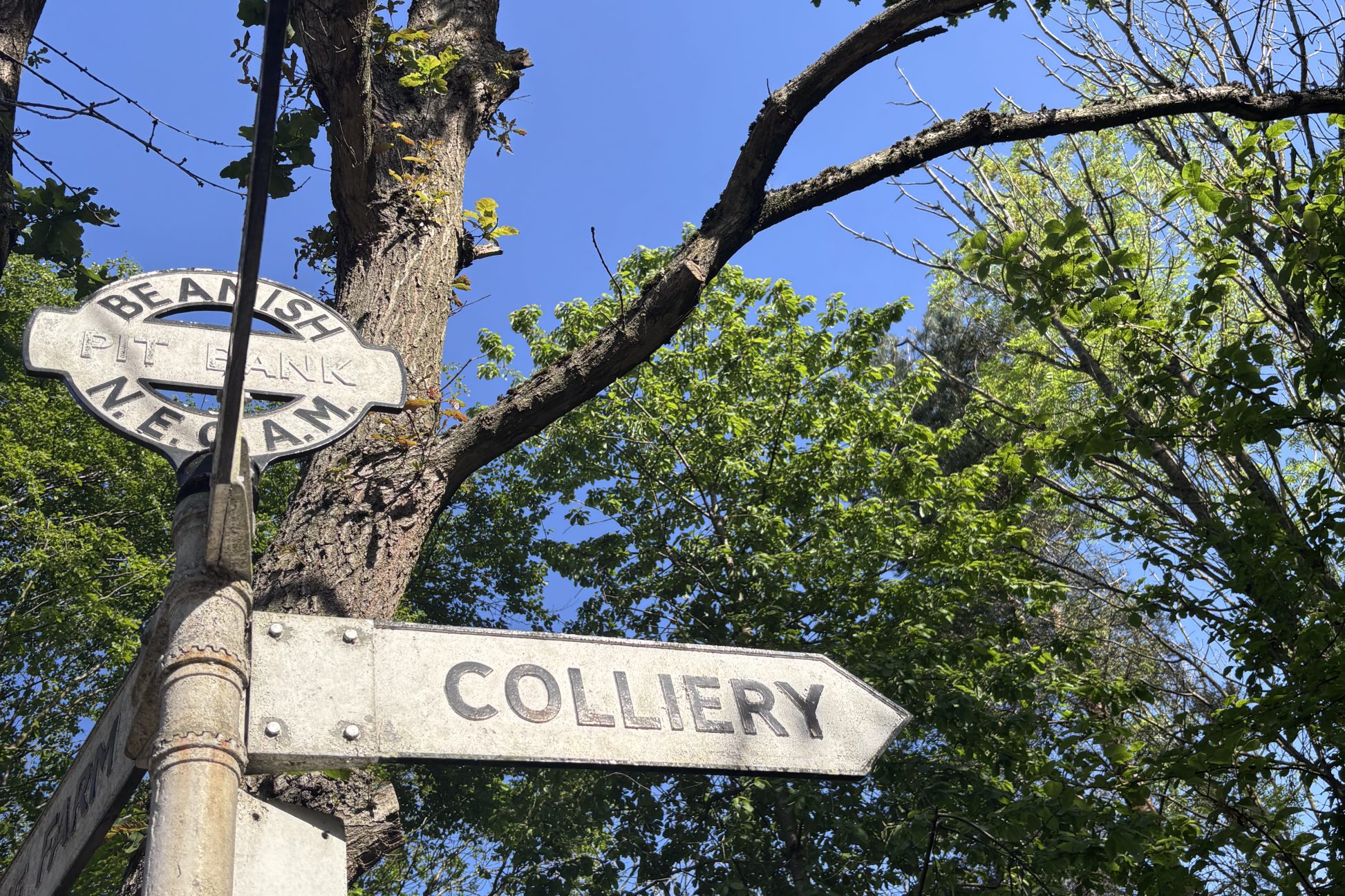 Signage for the colliery amongst a blue sky and trees