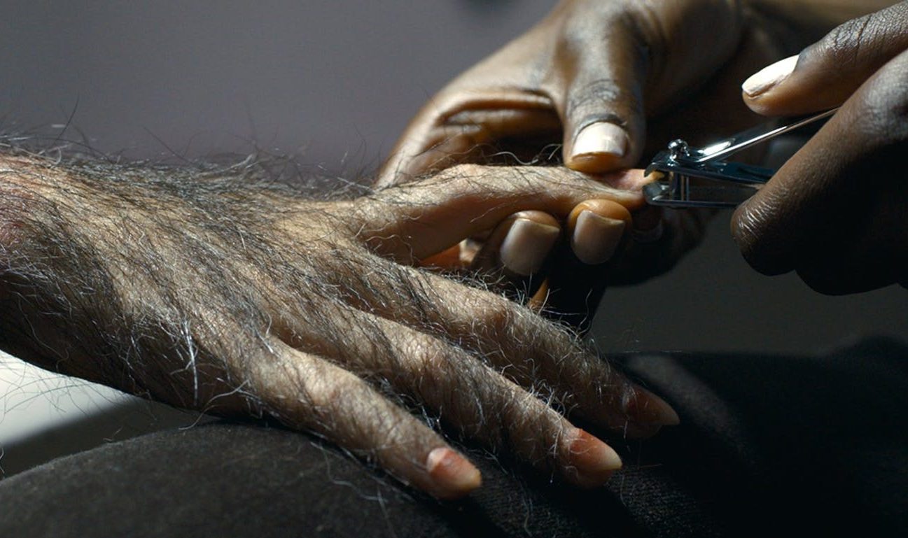 In Dreams are Monsters. A hand is seen clipping the nails of a chimpanzee's hand.