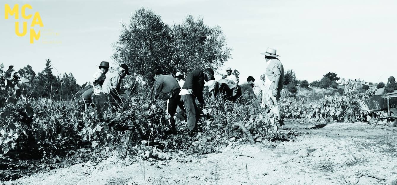 A black, blue and white image shows Chilean farmers at work.