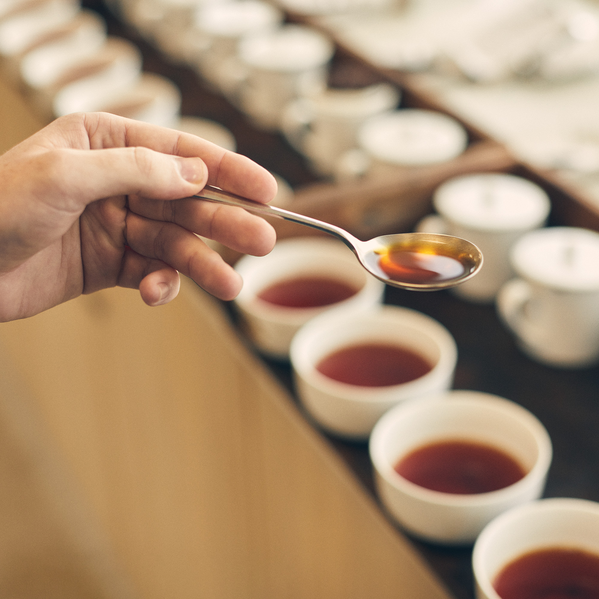 Person holding spoon.