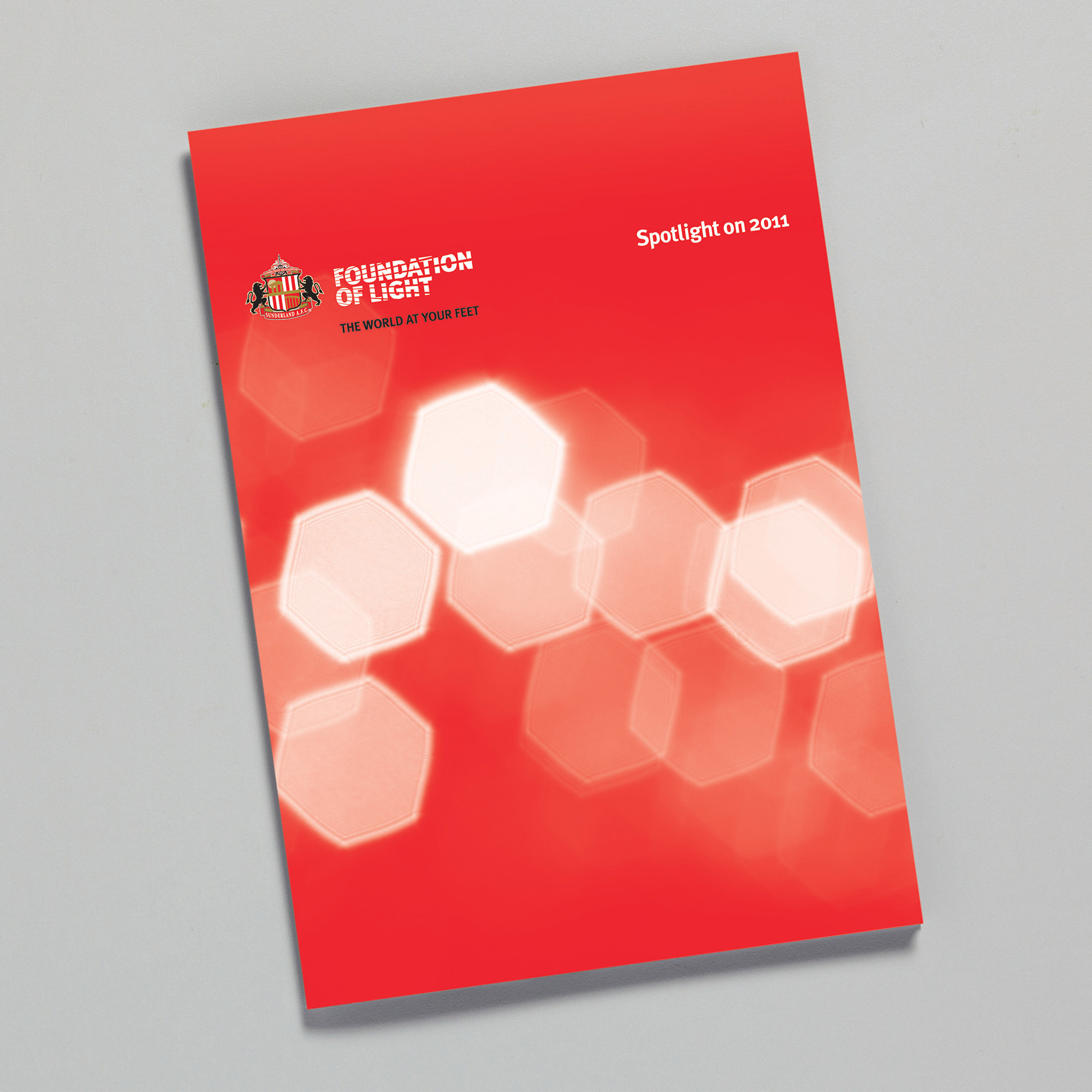 Cover of the Foundation of Light Annual Review on pale grey background.
