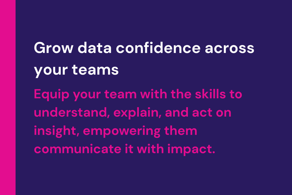 Strategic Data Literacy Programme